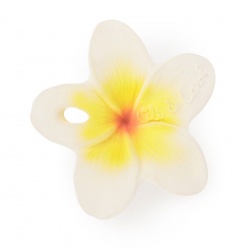 Mini grizalo - Cvijet Hawaii